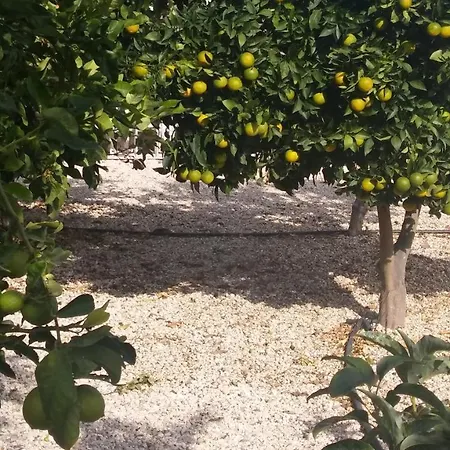 Wild Flower Bed & Breakfast Tala